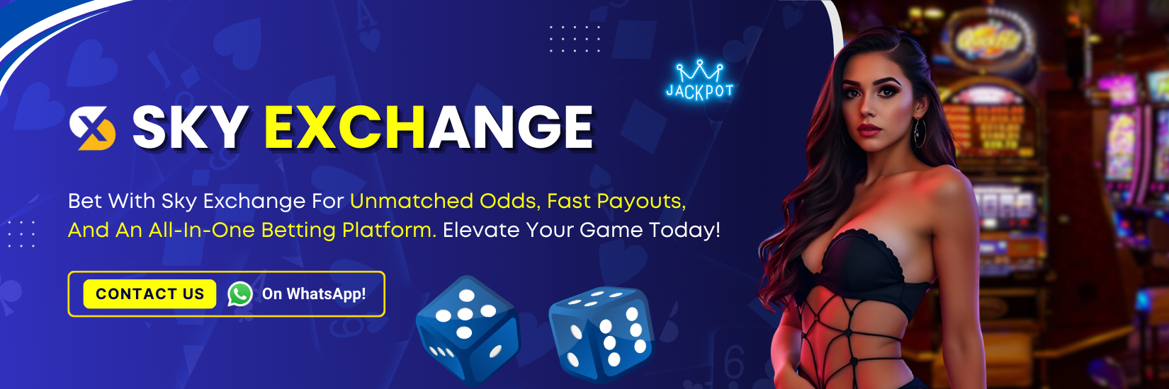 Sky Exchange 1650 x 550