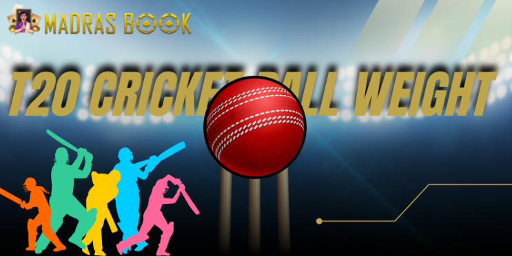 t20 cricket ball weight