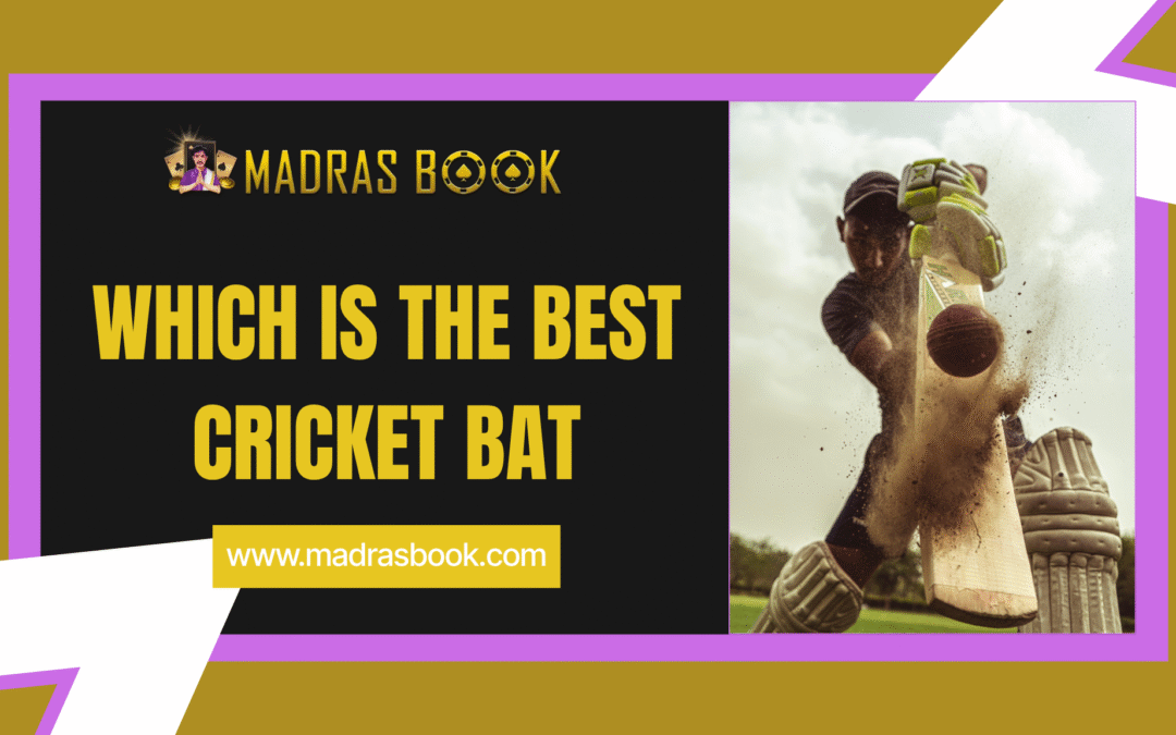 Which Is The Best Cricket Bat For Your Playing Style? Complete Buyer’s Guide